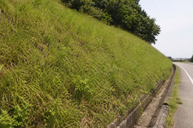 法面、斜面の草刈り対象イメージ（風景・建物。人物なし）