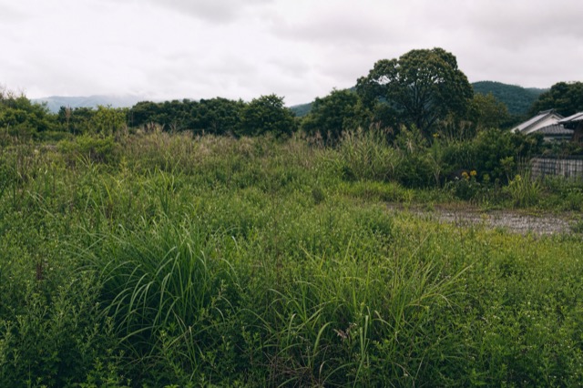 空き地、未利用地の草刈り対象イメージ（風景・建物。人物なし）