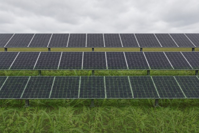 原村の太陽光発電所で除草作業前のパネル下