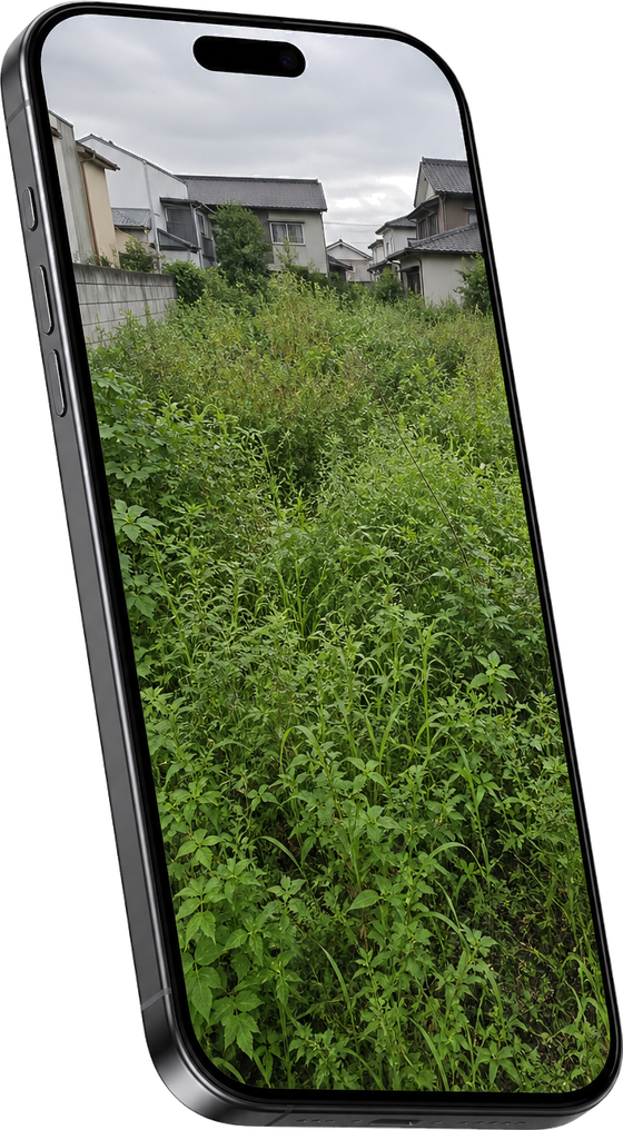草がぼうぼうの現場全体写真が表示されたiPhone